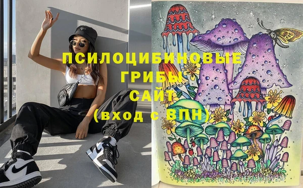 прущий лед Гусь-Хрустальный